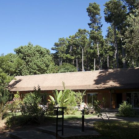 Hotel Lodge Au Bois Vert Antananarivo International Airport Ivato Luaran gambar